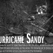 Sandy thumbnail